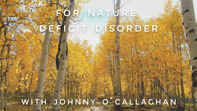 For Nature Deficit Disorder: Johnny O'Callaghan