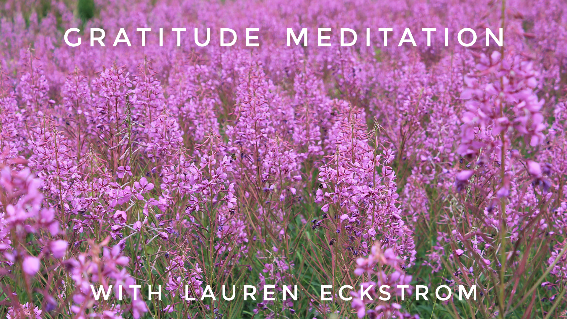 Gratitude Meditation: Lauren Eckstrom