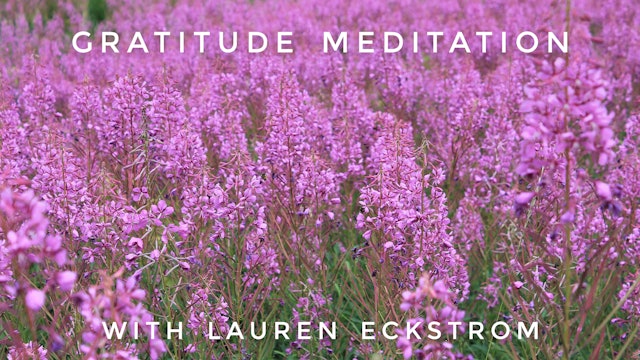 Gratitude Meditation: Lauren Eckstrom