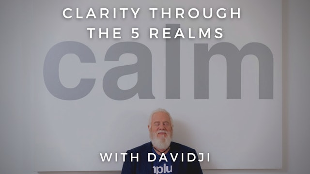 Clarity Through the 5 Realms: davidji