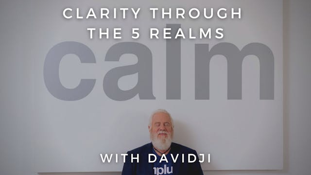 Clarity Through the 5 Realms: davidji