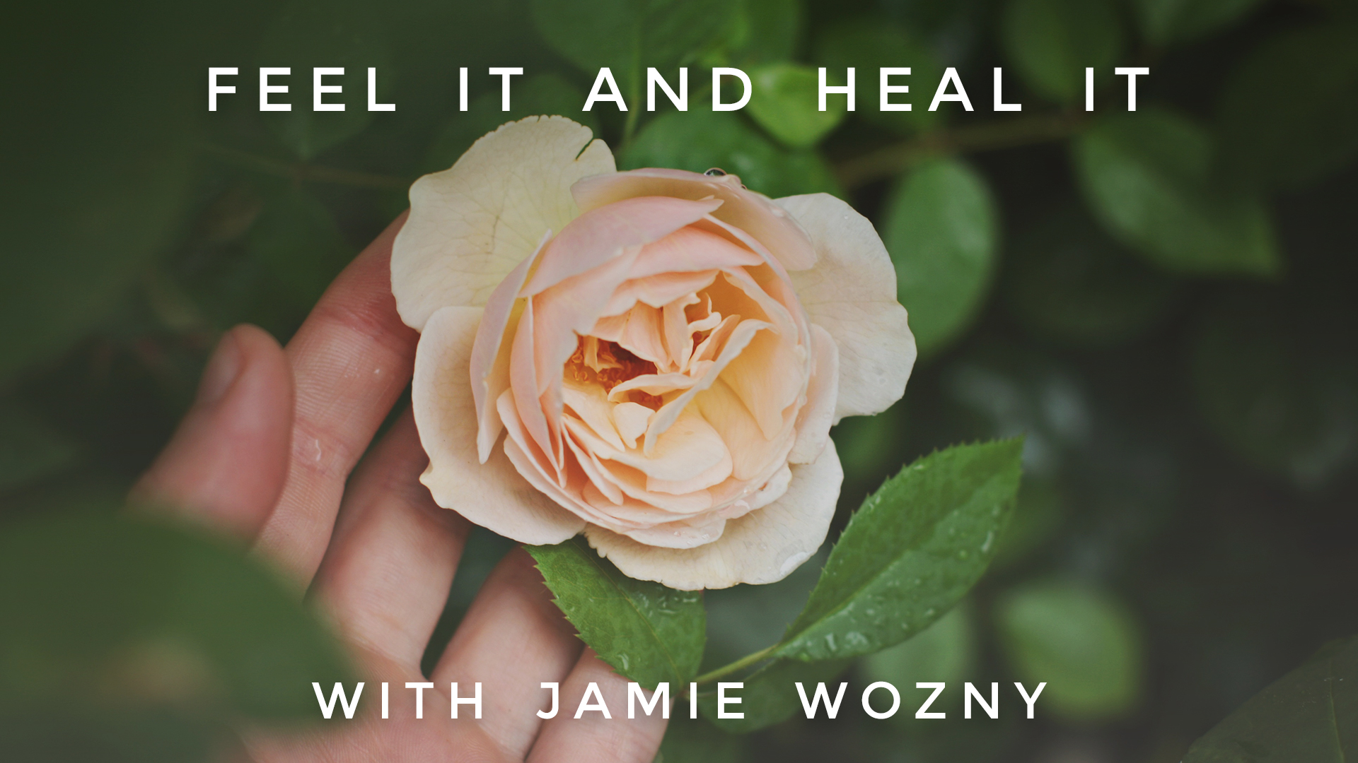 Feel It and Heal It:  Jamie Wozny