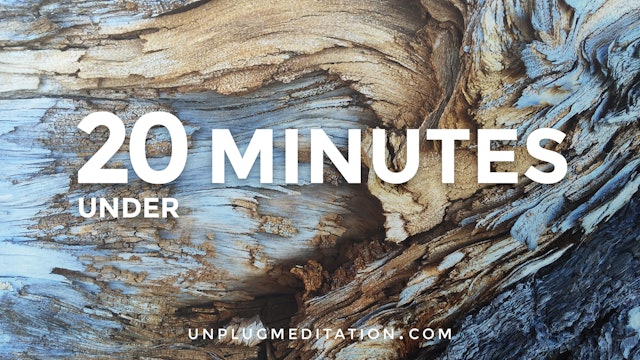 UNDER 20 MINUTES