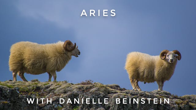 Aries: Danielle Beinstein