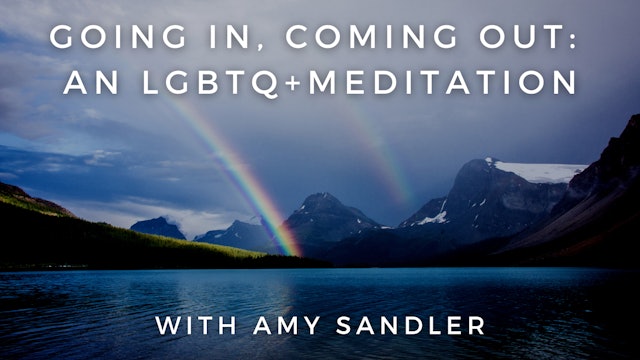 Going In, Coming Out: An LGBQT+ Meditation: Amy Sandler