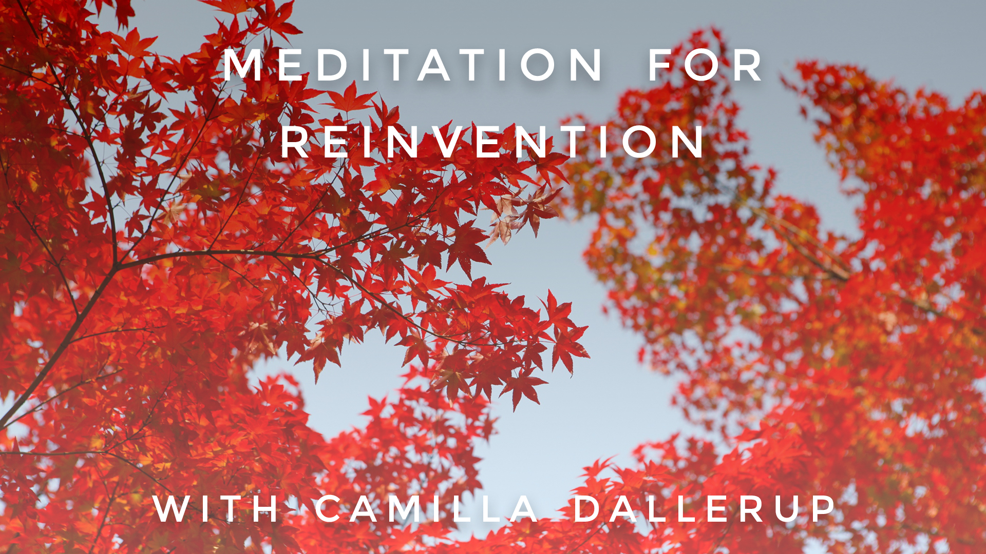 Meditation for Reinvention: Camilla Sacre-Dallerup