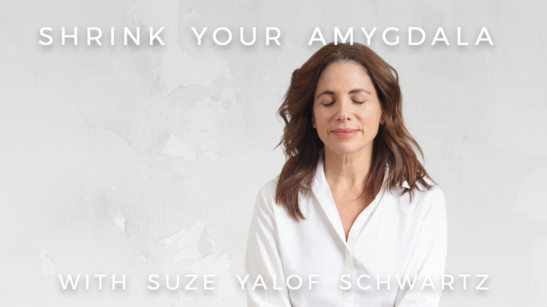 Shrink Your Amygdala: Suze Yalof Schwartz