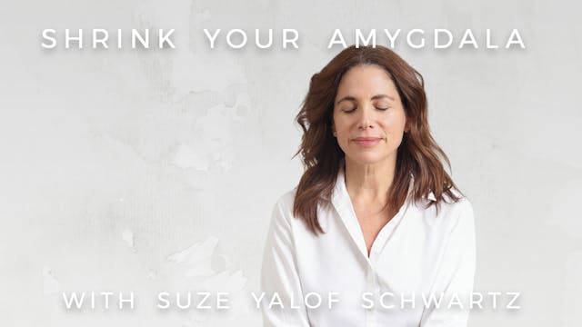 Shrink Your Amygdala: Suze Yalof Schw...