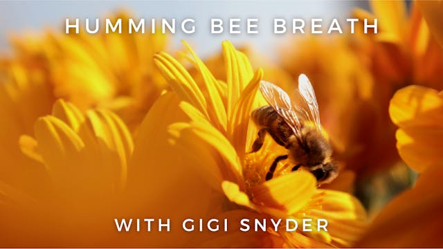 Humming Bee Breath: Gigi Snyder