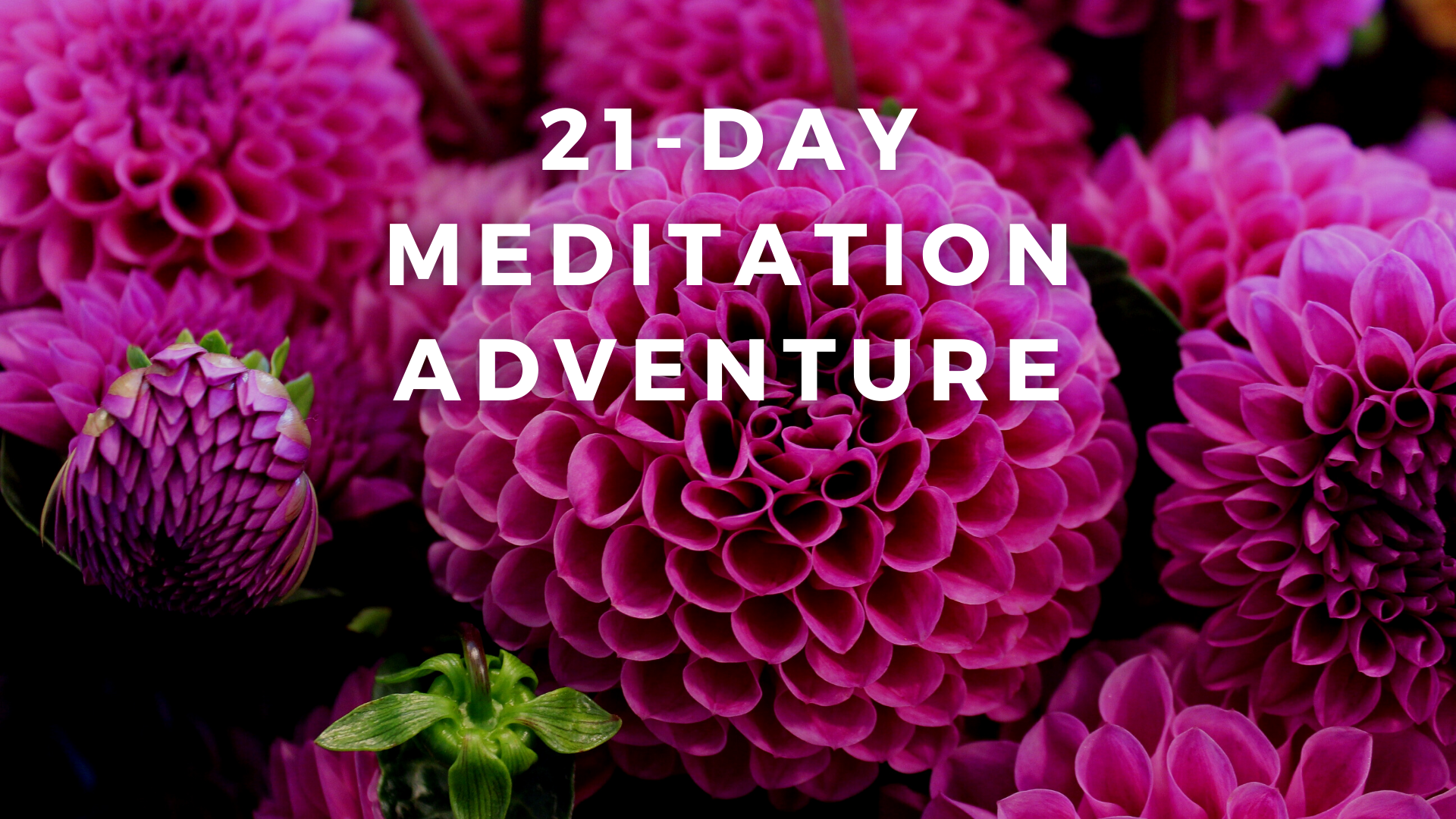 21-DAY MEDITATION ADVENTURE