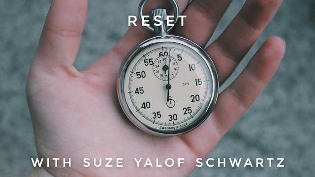 Reset: Suze Yalof Schwartz