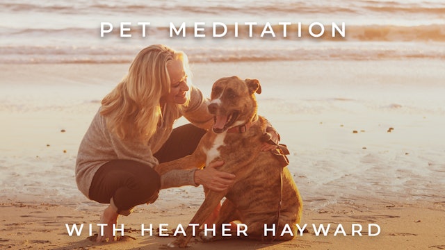 Pet Meditation: Heather Hayward