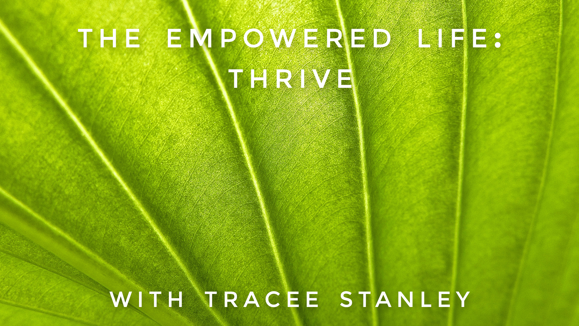 The Empowered Life: Thrive: Tracee Stanley