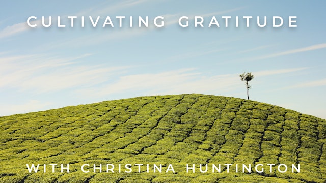 Cultivating Gratitude: Christina Huntington