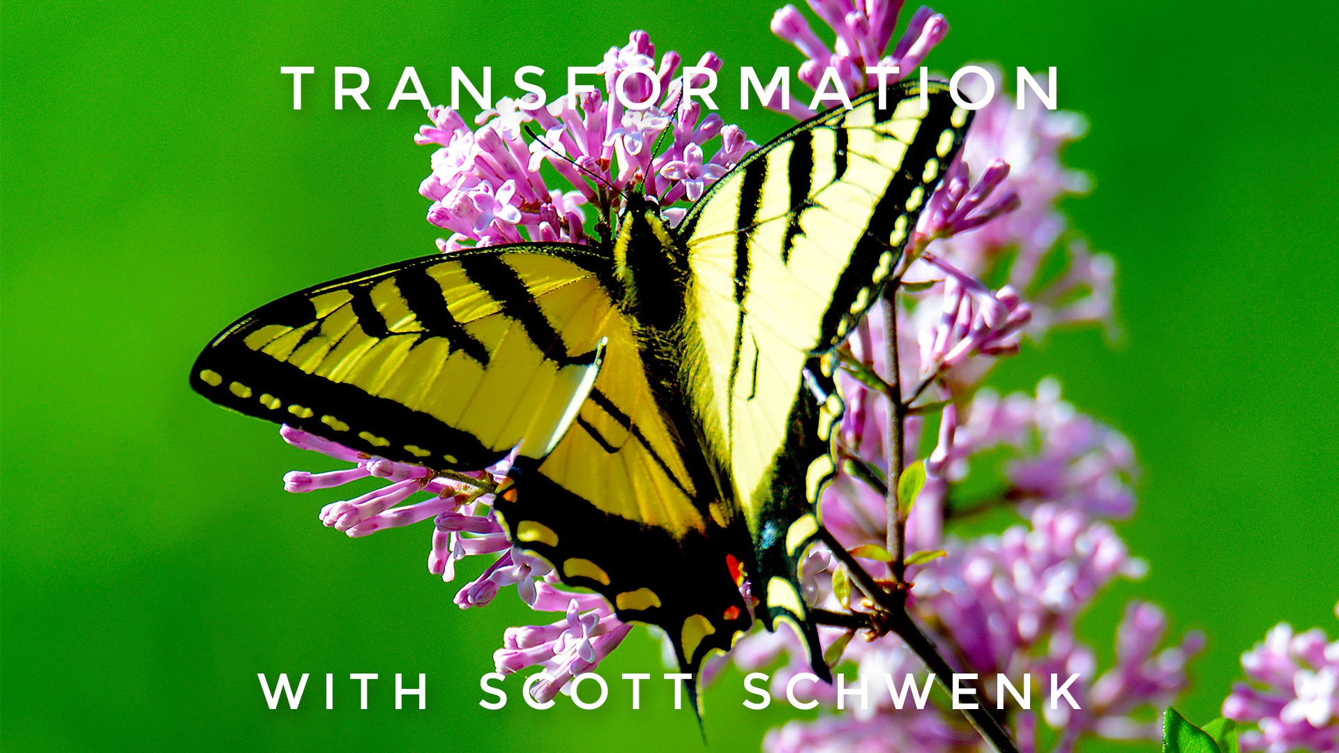 Transformation: Scott Schwenk
