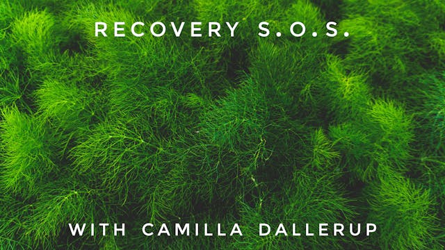 Recovery S.O.S.: Camilla Sacre-Dallerup