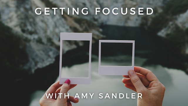 Getting Focused: Amy Sandler