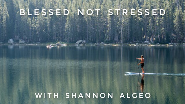 Blessed Not Stressed: Shannon Algeo