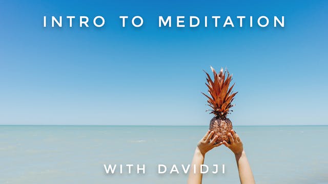Intro To Meditation: davidji