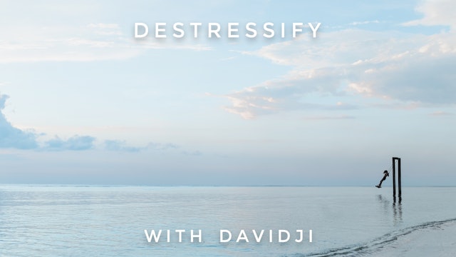 Destressify: davidji