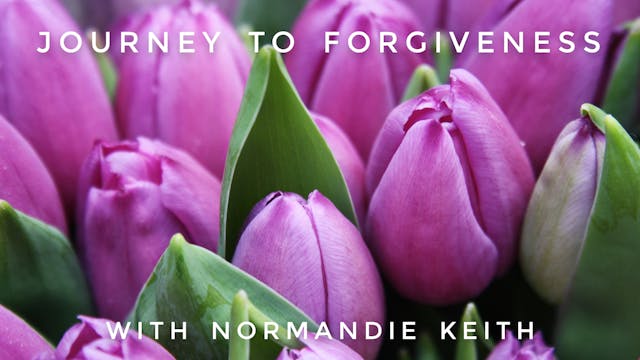 Journey to Forgiveness: Normandie Keith