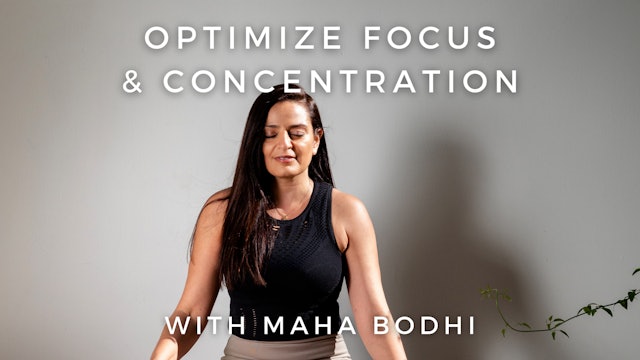 Optimize Focus & Concentration: Maha Bodhi
