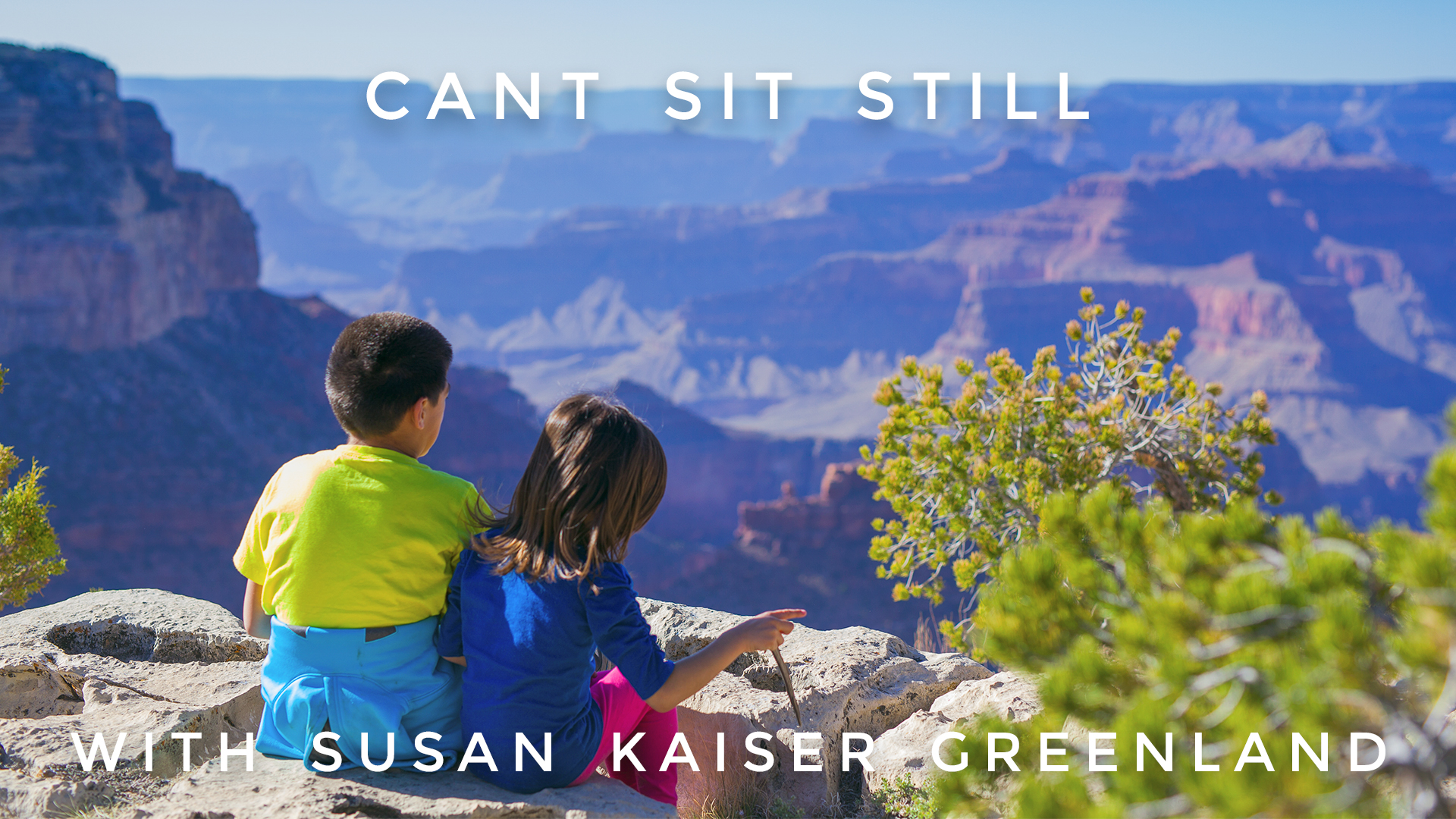 Can't Sit Still:  Susan Kaiser Greenland