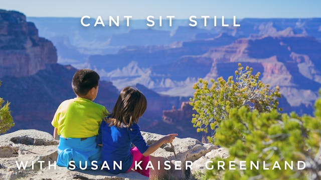 Can't Sit Still:  Susan Kaiser Greenland