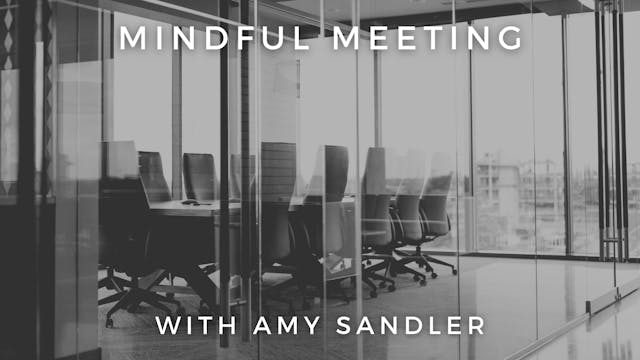 Mindful Meeting: Amy Sandler