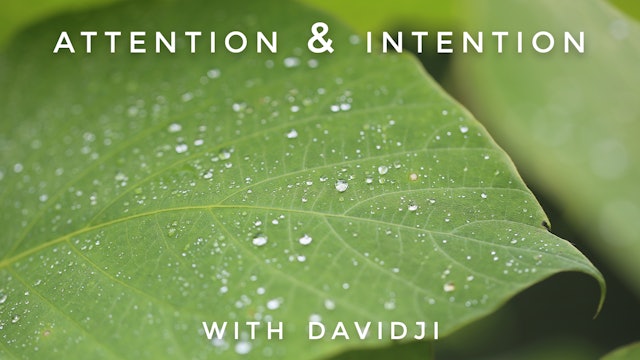 Attention & Intention: davidji