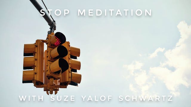 S.T.O.P Meditation: Suze Yalof Schwartz