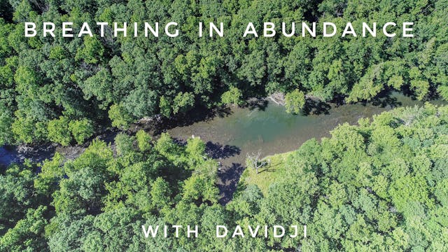 Breathing In Abundance: davidji