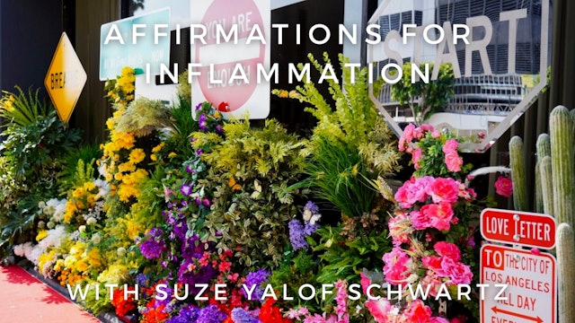 Affirmations for Inflammation: Suze Yalof Schwartz