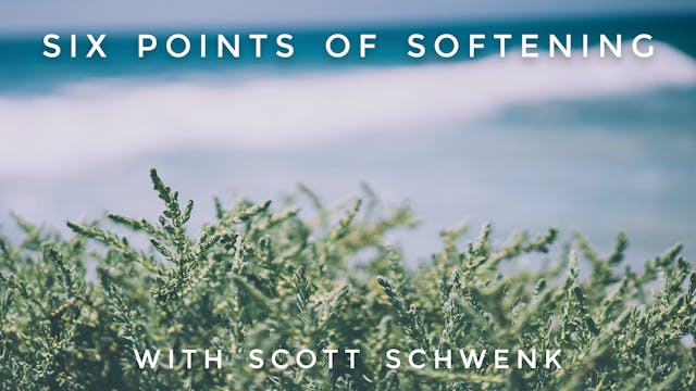 Six Points Of Softening: Scott Schwenk