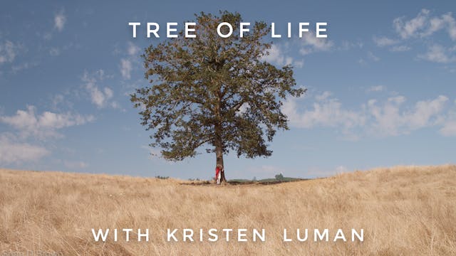 Tree of Life: Kristen Luman