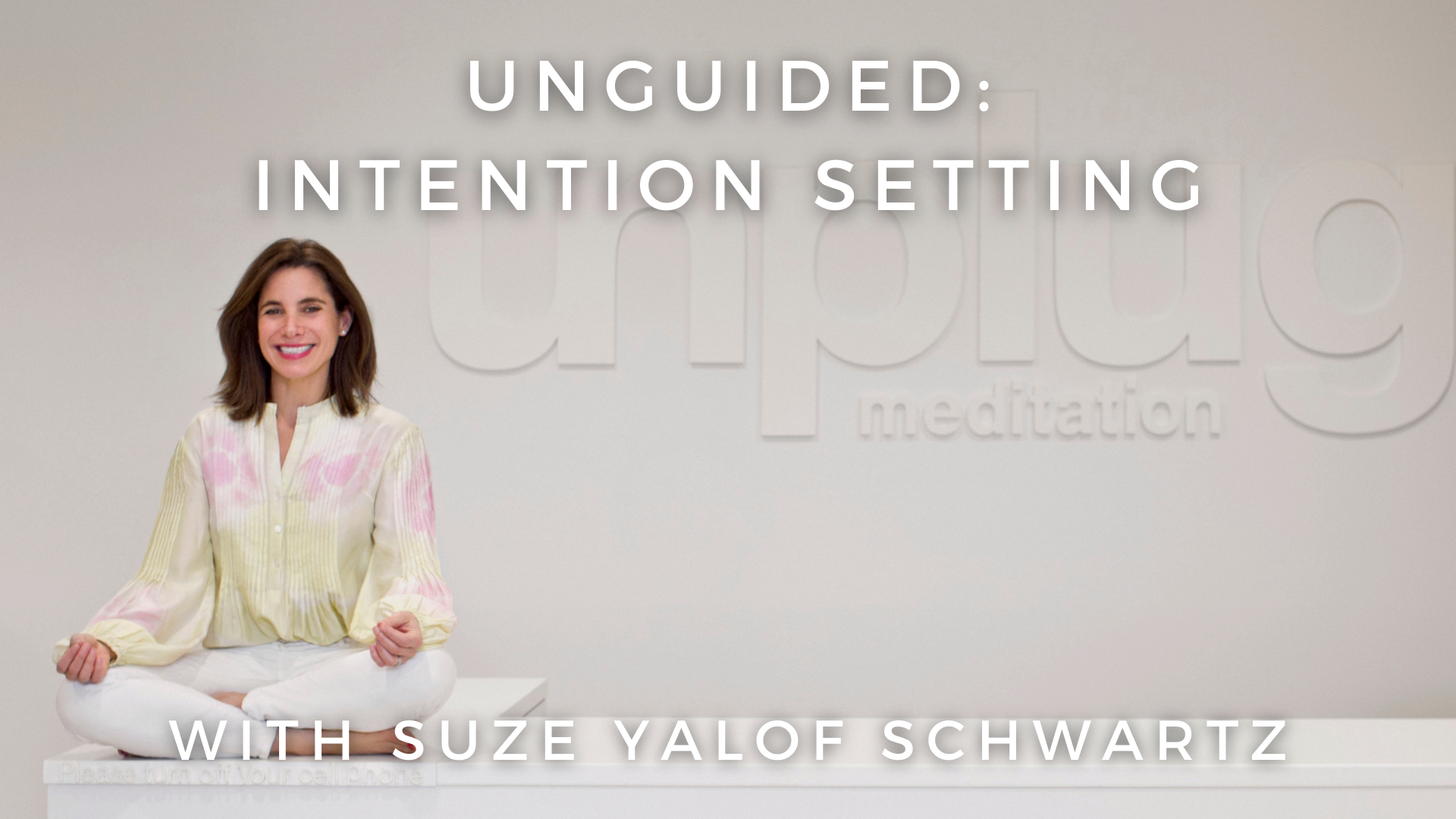 Unguided: Intention Setting: Suze Yalof Schwartz