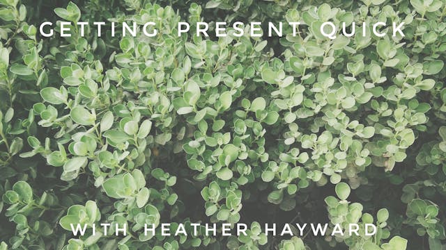 Getting Present Quick: Heather Hayward