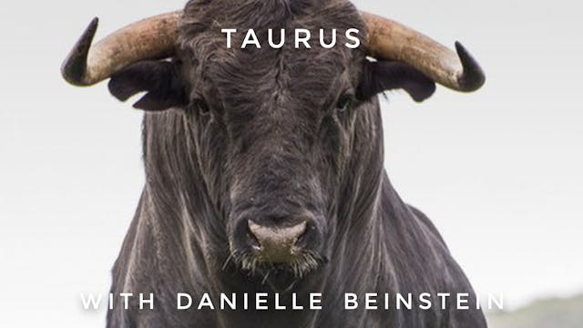Taurus: Danielle Beinstein