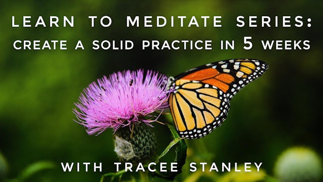 Learn to Meditate Series: Create a Solid Practice in 5 Weeks: Tracee Stanley
