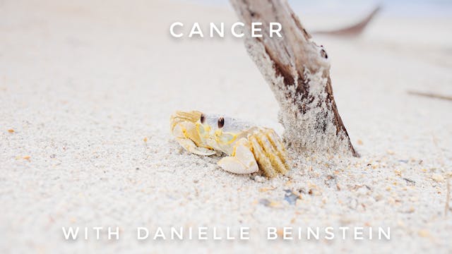 Cancer: Danielle Beinstein