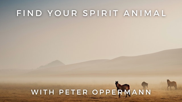 Find Your Spirit Animal: Peter Opperman