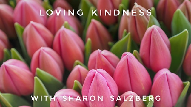 Loving Kindness:  Sharon Salzberg