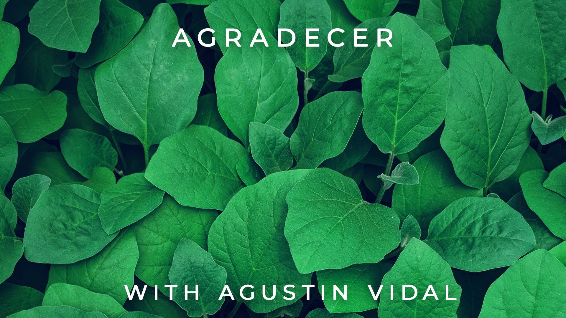 Agradecer: Agustin Vidal