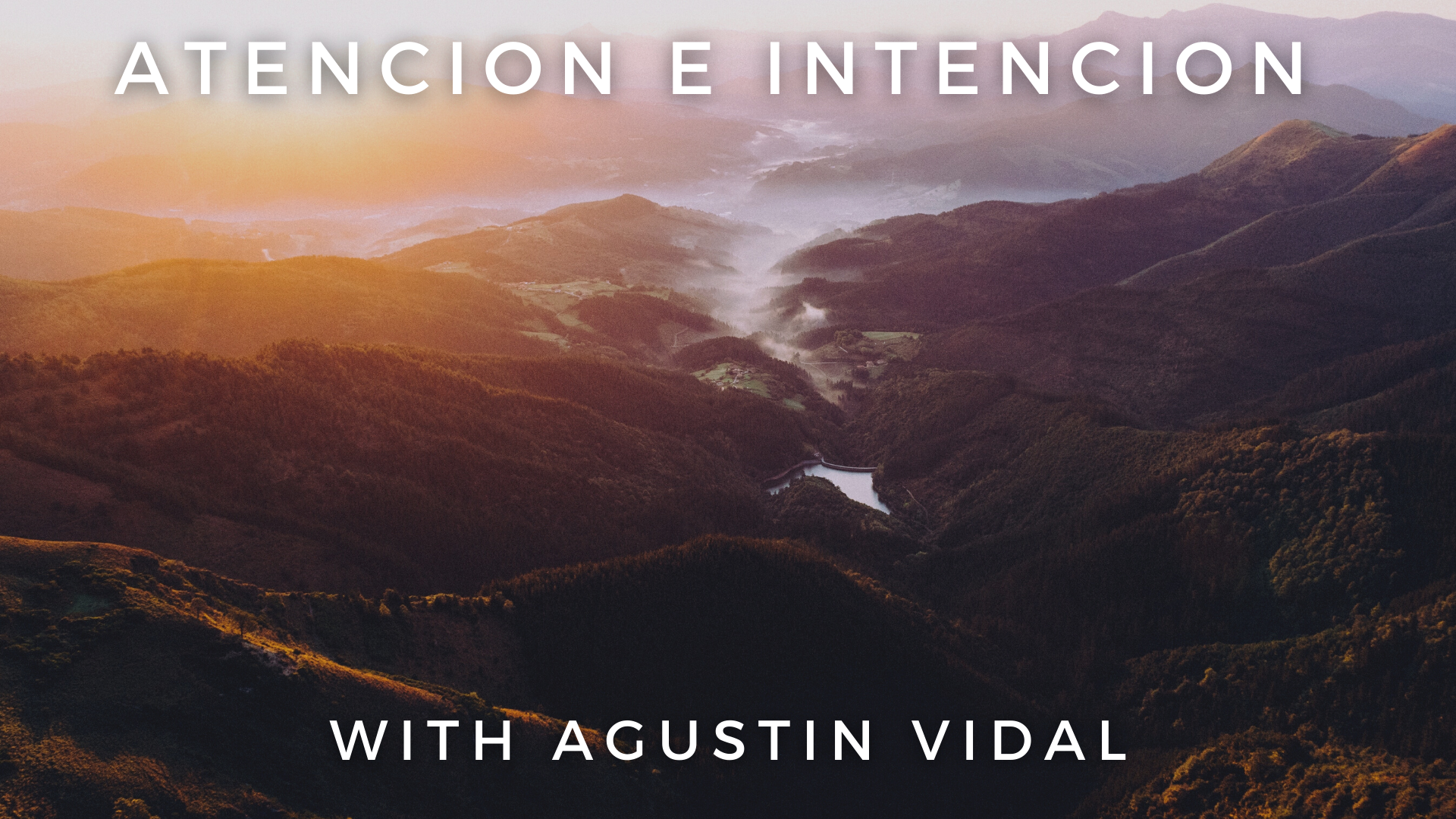 Atención e Intención: Agustin Vidal