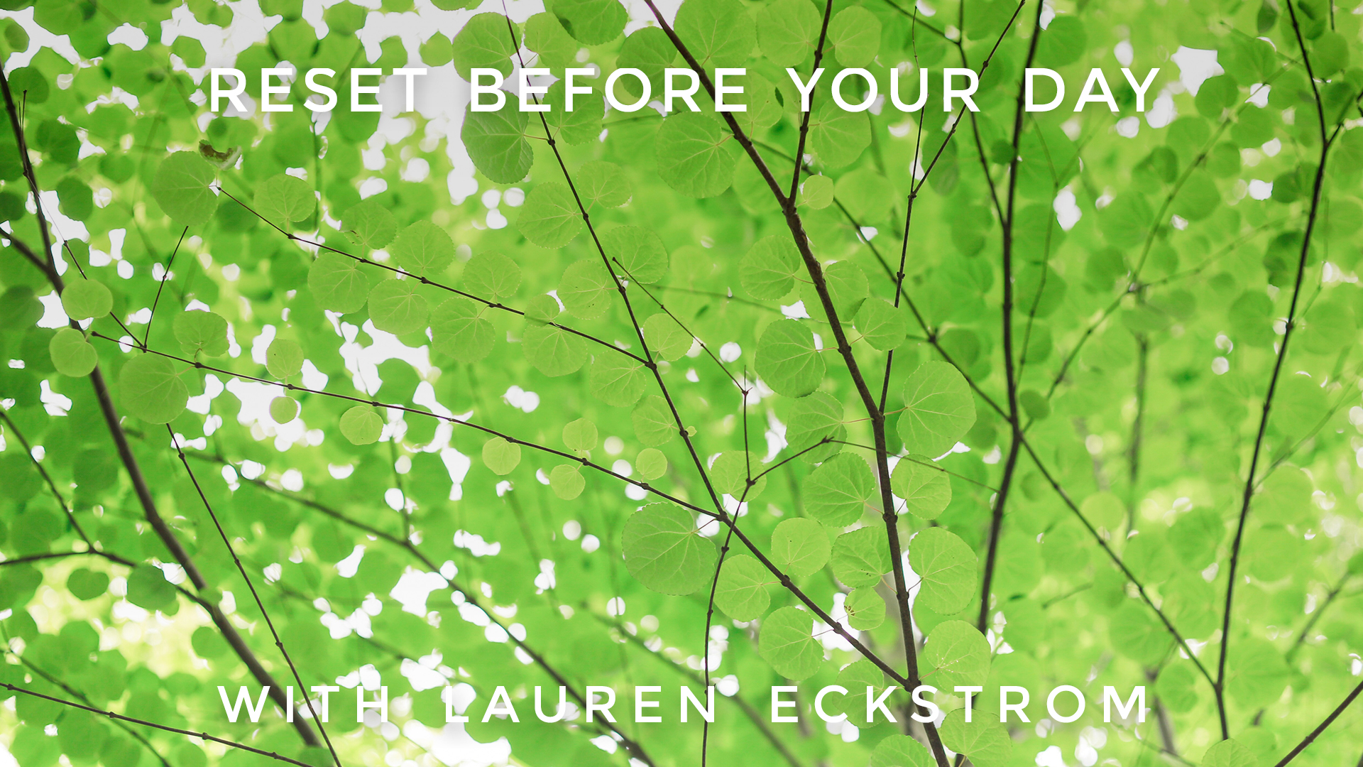 Reset Before Your Day: Lauren Eckstrom