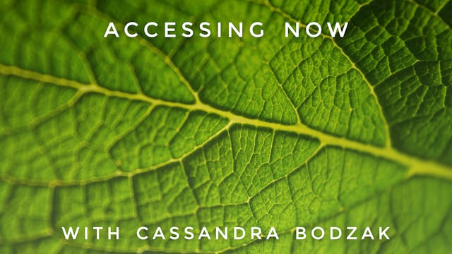 Accessing Now: Cassandra Bodzak