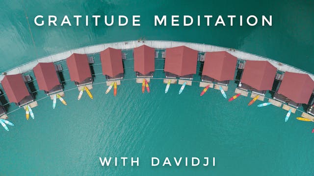 Gratitude Meditation: davidji