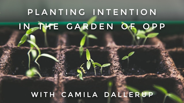Planting Intention In The Garden Of Opportunity: Camilla Sacre-Dallerup