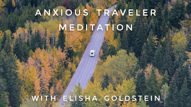 Anxious Traveler: Elisha Goldstein