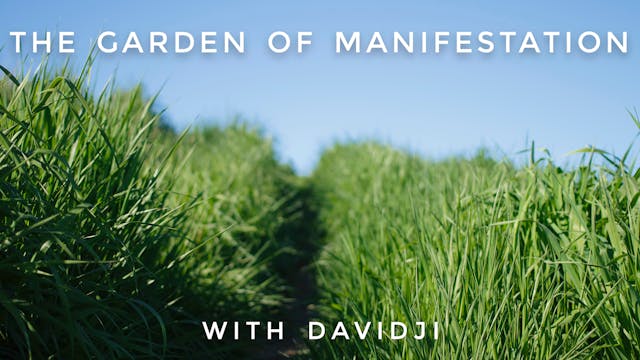 Garden of Manifestation: davidji
